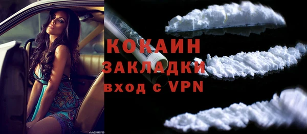кокс Богородицк