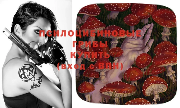 кокс Богородицк