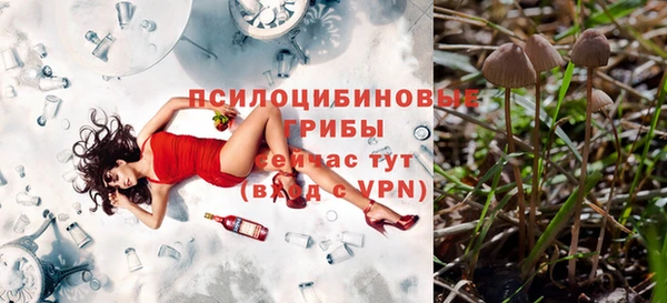 кокс Богородицк