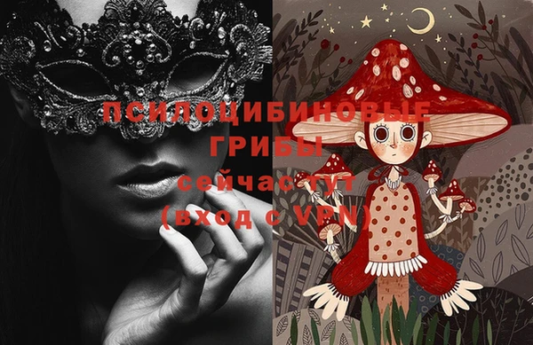 кокс Богородицк