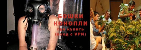 кокс Богородицк