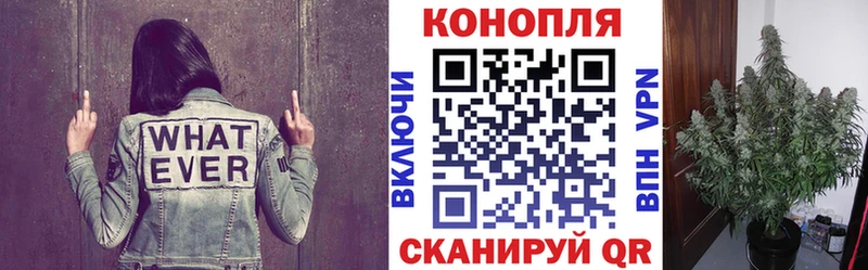 блэк спрут зеркало  Мезень  Каннабис тримм  купить  цена 